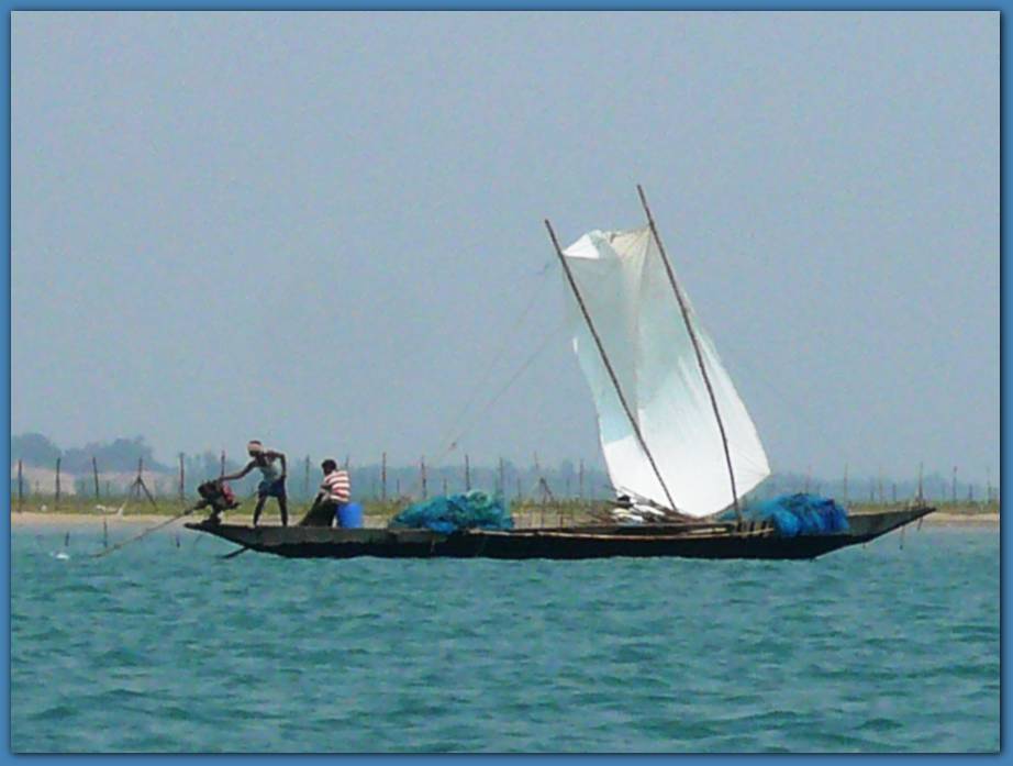 900x674 pixels (51K)